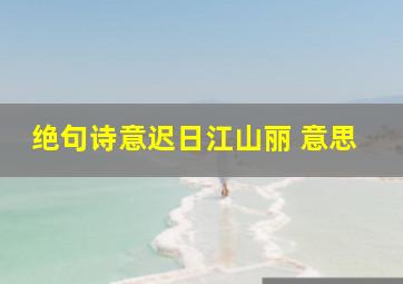 绝句诗意迟日江山丽 意思